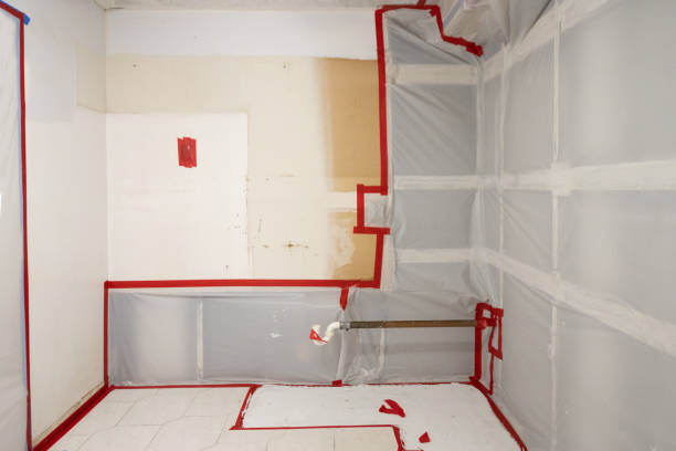 Best Comprehensive Air Testing for Mold Contaminants  in Quinebaug, CT