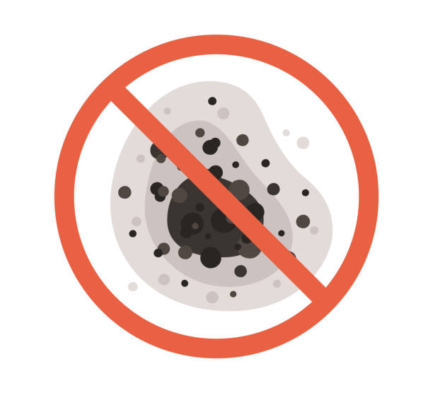 Best Mold Remediation for Healthcare Facilities  in Quinebaug, CT